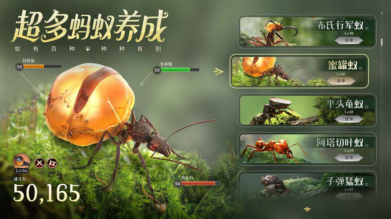 小小蚁国 V1.29.0 最新安卓版