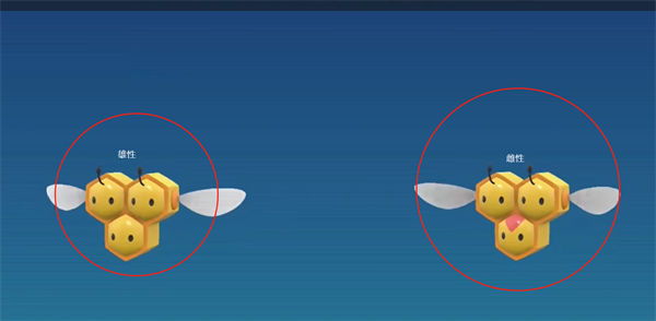 宝可梦朱紫精灵性别分辨方法介绍图3