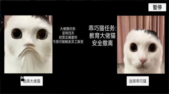 猫猫惊魂夜最新手机版图3