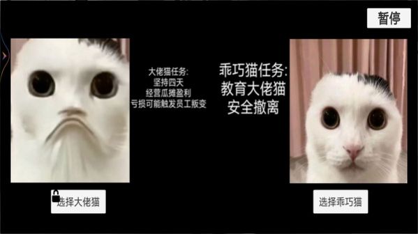 猫猫惊魂夜最新版图2