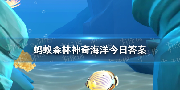 哪种海洋动物受伤后具有快速的自愈能力 神奇海洋今日答案3.29最新图1