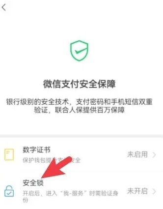 微信钱包手势密码怎么设置 微信钱包手势密码设置方法图3