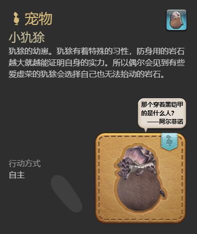 ff14小犰狳获得方法图9