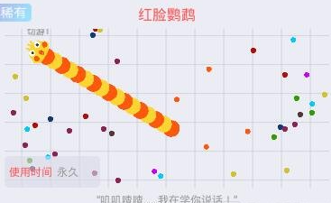 贪吃蛇大作战红脸鹦鹉怎么获得 红脸鹦鹉皮肤图鉴图2