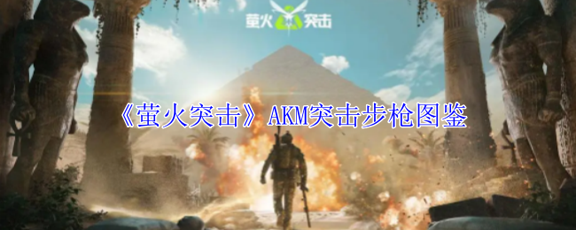 萤火突击AKM突击步枪有什么属性 AKM突击步枪图鉴图1