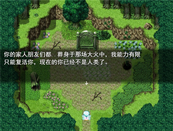 雨林精灵 V1.0 安卓版