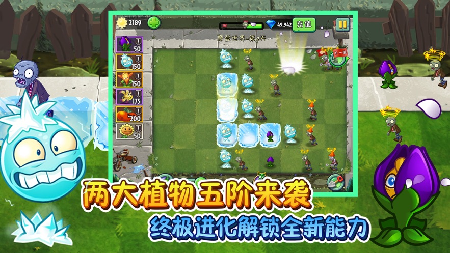 植物大战僵尸2元旦狂欢 V2.5.6 安卓版