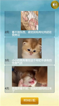 猫的一生重启模拟器安卓版