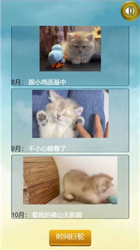 猫的一生重启模拟器安卓版