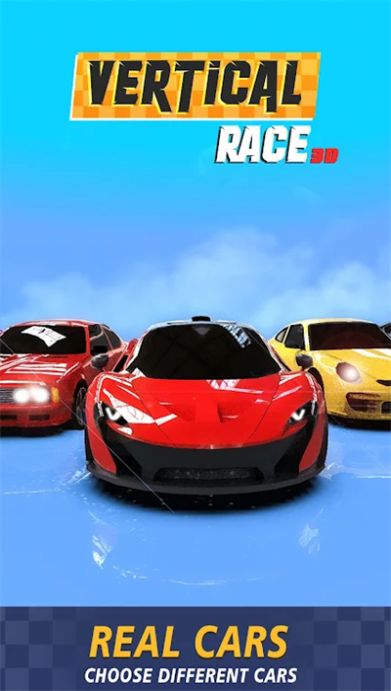 Vertical Race 3D中文版