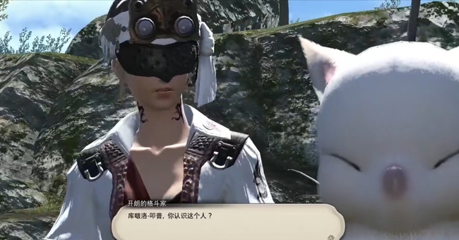 ff14剧情自动播放设置方法介绍图1