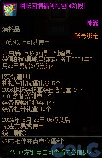 DNFSNK相伴充点券享福利活动攻略图4