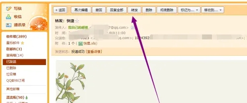 qq邮箱邮件怎么转发 qq邮箱邮件转发方法图6
